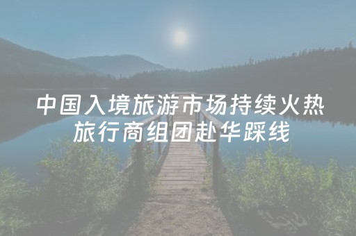 中国入境旅游市场持续火热 旅行商组团赴华踩线