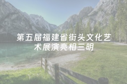 第五届福建省街头文化艺术展演亮相三明