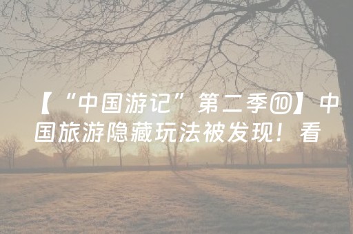【“中国游记”第二季⑩】中国旅游隐藏玩法被发现！看外国博主工厂游里的科技与温度
