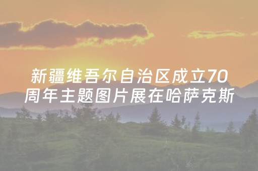 新疆维吾尔自治区成立70周年主题图片展在哈萨克斯坦开幕