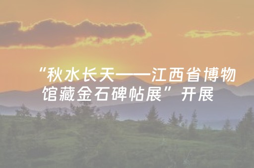 “秋水长天——江西省博物馆藏金石碑帖展”开展