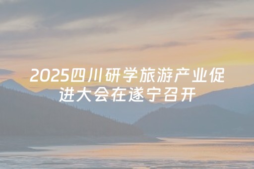 2025四川研学旅游产业促进大会在遂宁召开