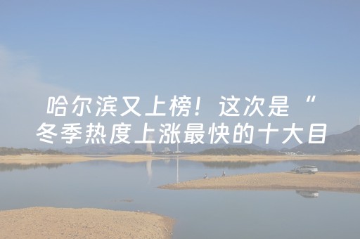 哈尔滨又上榜！这次是“冬季热度上涨最快的十大目的地”城市
