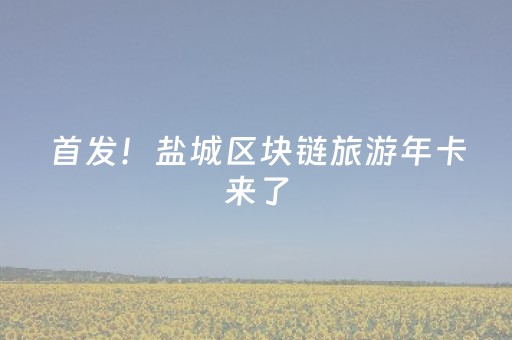 首发！盐城区块链旅游年卡来了