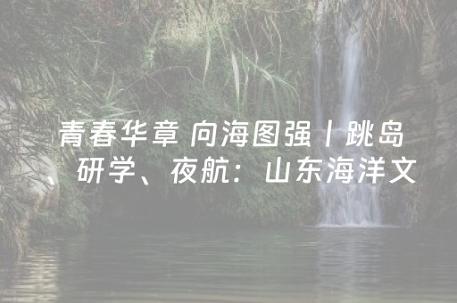 青春华章 向海图强丨跳岛、研学、夜航：山东海洋文旅的“Z世代”捕获法则