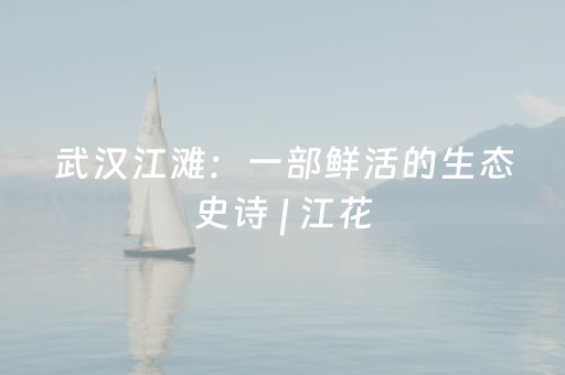 武汉江滩：一部鲜活的生态史诗 | 江花