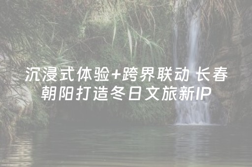 沉浸式体验+跨界联动 长春朝阳打造冬日文旅新IP