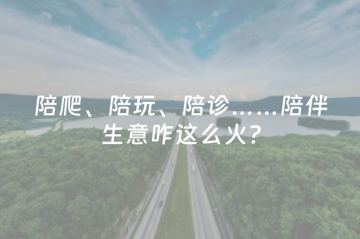 陪爬、陪玩、陪诊……陪伴生意咋这么火？