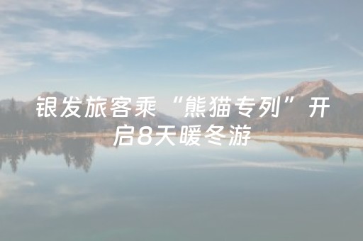 银发旅客乘“熊猫专列”开启8天暖冬游