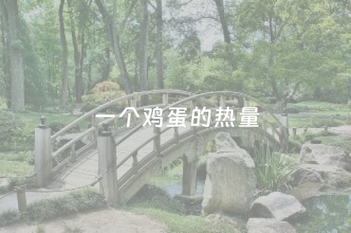 一个鸡蛋的热量（一个鸡蛋白的热量）