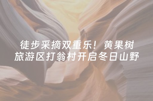 徒步采摘双重乐！黄果树旅游区打翁村开启冬日山野甜蜜之旅