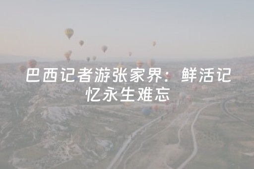 巴西记者游张家界：鲜活记忆永生难忘