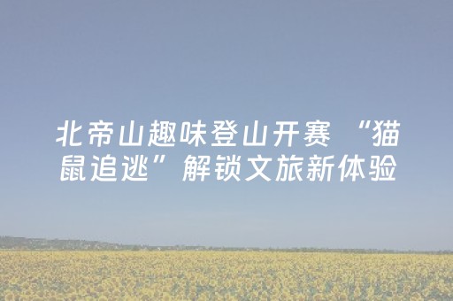 北帝山趣味登山开赛 “猫鼠追逃”解锁文旅新体验