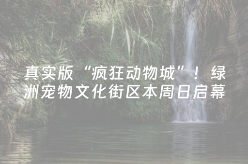 真实版“疯狂动物城”！绿洲宠物文化街区本周日启幕