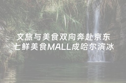 文旅与美食双向奔赴京东七鲜美食MALL成哈尔滨冰雪经济网红新地标