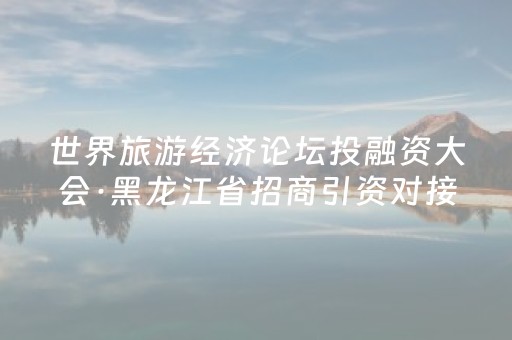 世界旅游经济论坛投融资大会·黑龙江省招商引资对接会在哈尔滨举办