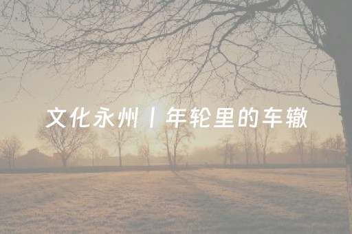 文化永州丨年轮里的车辙