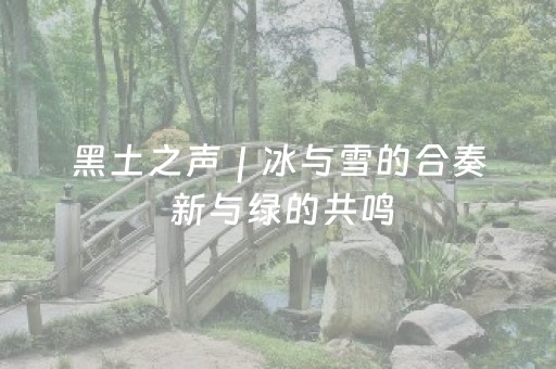 黑土之声｜冰与雪的合奏 新与绿的共鸣