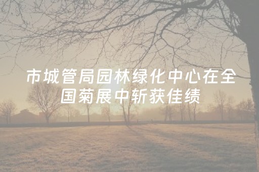 市城管局园林绿化中心在全国菊展中斩获佳绩