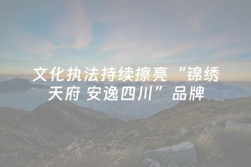 文化执法持续擦亮“锦绣天府 安逸四川”品牌