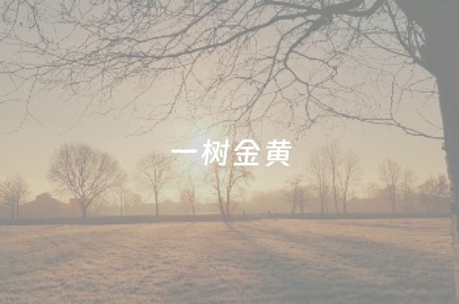 一树金黄，半生情暖