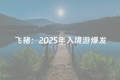 飞猪：2025年入境游爆发，上海稳居入境游目的地榜首