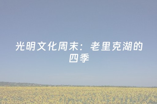 光明文化周末：老里克湖的四季