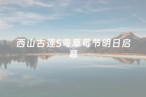 西山古莲S弯草莓节明日启幕