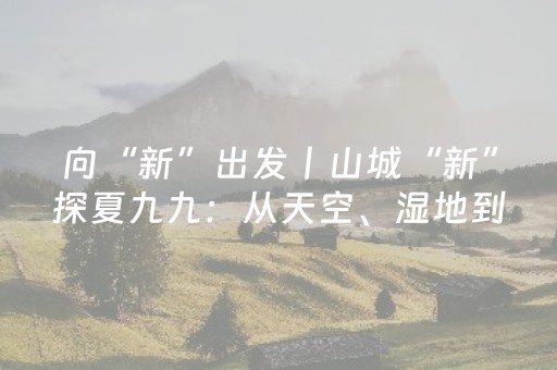 向“新”出发丨山城“新”探夏九九：从天空、湿地到未来的全新飞行