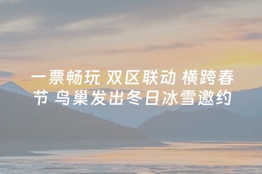 一票畅玩 双区联动 横跨春节 鸟巢发出冬日冰雪邀约