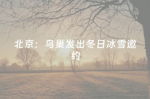 北京：鸟巢发出冬日冰雪邀约