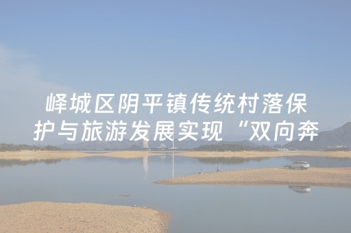 峄城区阴平镇传统村落保护与旅游发展实现“双向奔赴”