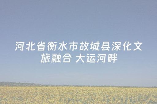 河北省衡水市故城县深化文旅融合 大运河畔，一见如“故”