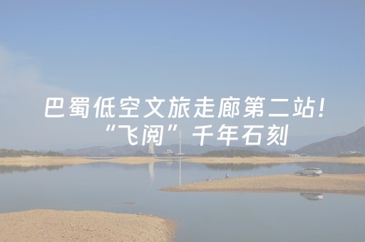 巴蜀低空文旅走廊第二站！“飞阅”千年石刻，产业融合再升级