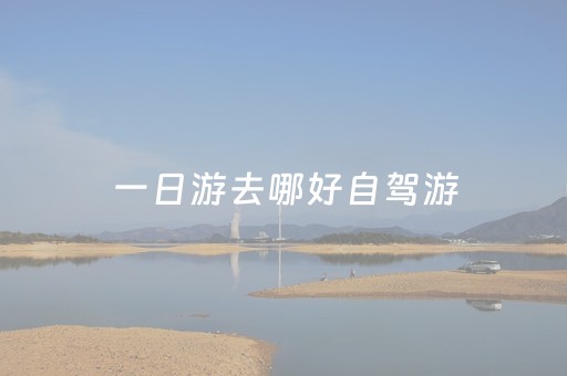 一日游去哪好自驾游（台州一日游去哪好自驾游）