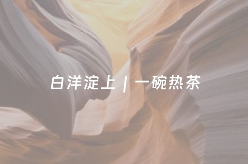 白洋淀上｜一碗热茶，传递雄安温度