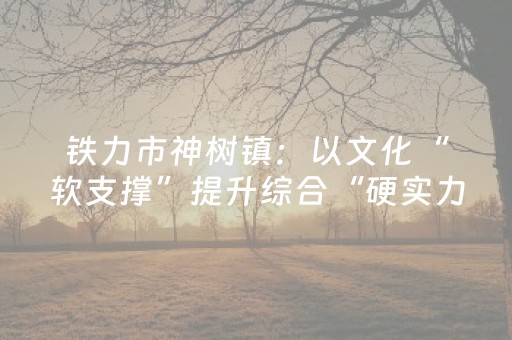 铁力市神树镇：以文化“软支撑”提升综合“硬实力”