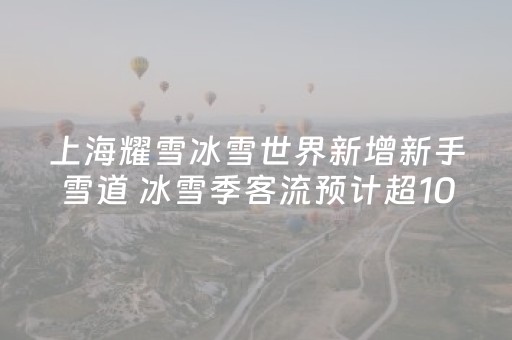 上海耀雪冰雪世界新增新手雪道 冰雪季客流预计超10万人次