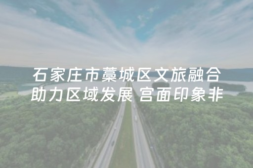 石家庄市藁城区文旅融合助力区域发展 宫面印象非遗汇客厅正式开放