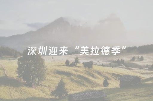 深圳迎来“美拉德季”