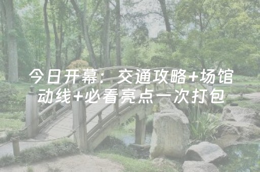 今日开幕：交通攻略+场馆动线+必看亮点一次打包