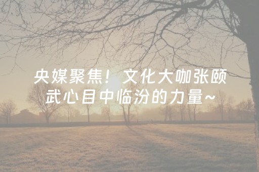 央媒聚焦！文化大咖张颐武心目中临汾的力量~