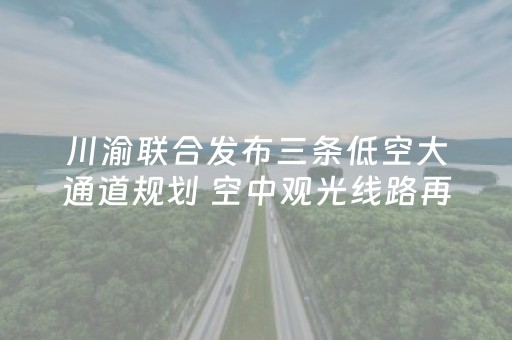 川渝联合发布三条低空大通道规划 空中观光线路再获验证