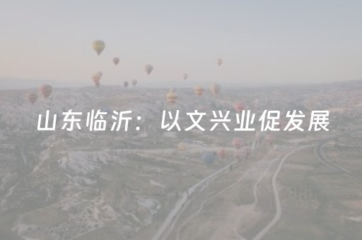 山东临沂：以文兴业促发展