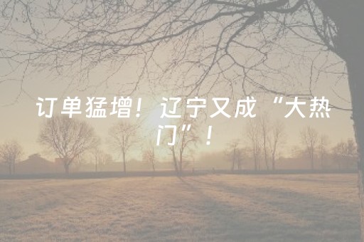 订单猛增！辽宁又成“大热门”！