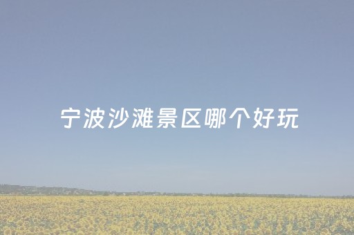 宁波沙滩景区哪个好玩（宁波沙滩景区哪个好玩宁皮）