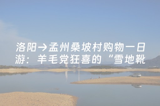 洛阳→孟州桑坡村购物一日游：羊毛党狂喜的“雪地靴淘金记”