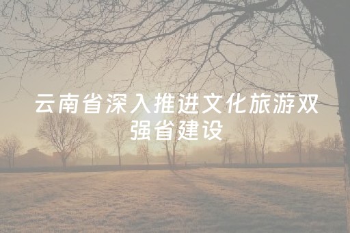 云南省深入推进文化旅游双强省建设