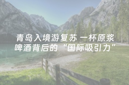 青岛入境游复苏 一杯原浆啤酒背后的“国际吸引力”