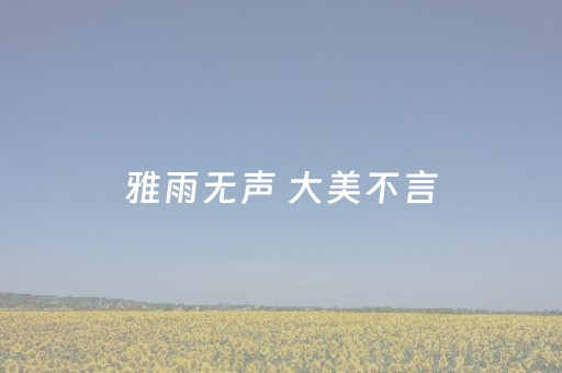 雅雨无声 大美不言